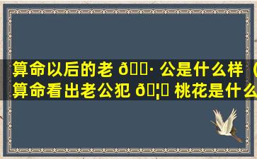 算命以后的老 🕷 公是什么样（算命看出老公犯 🦟 桃花是什么意思）